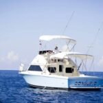 WhatsApp Image 2022 04 01 at 9.30.53 AM 3