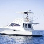 WhatsApp Image 2022 04 01 at 9.41.14 AM 5